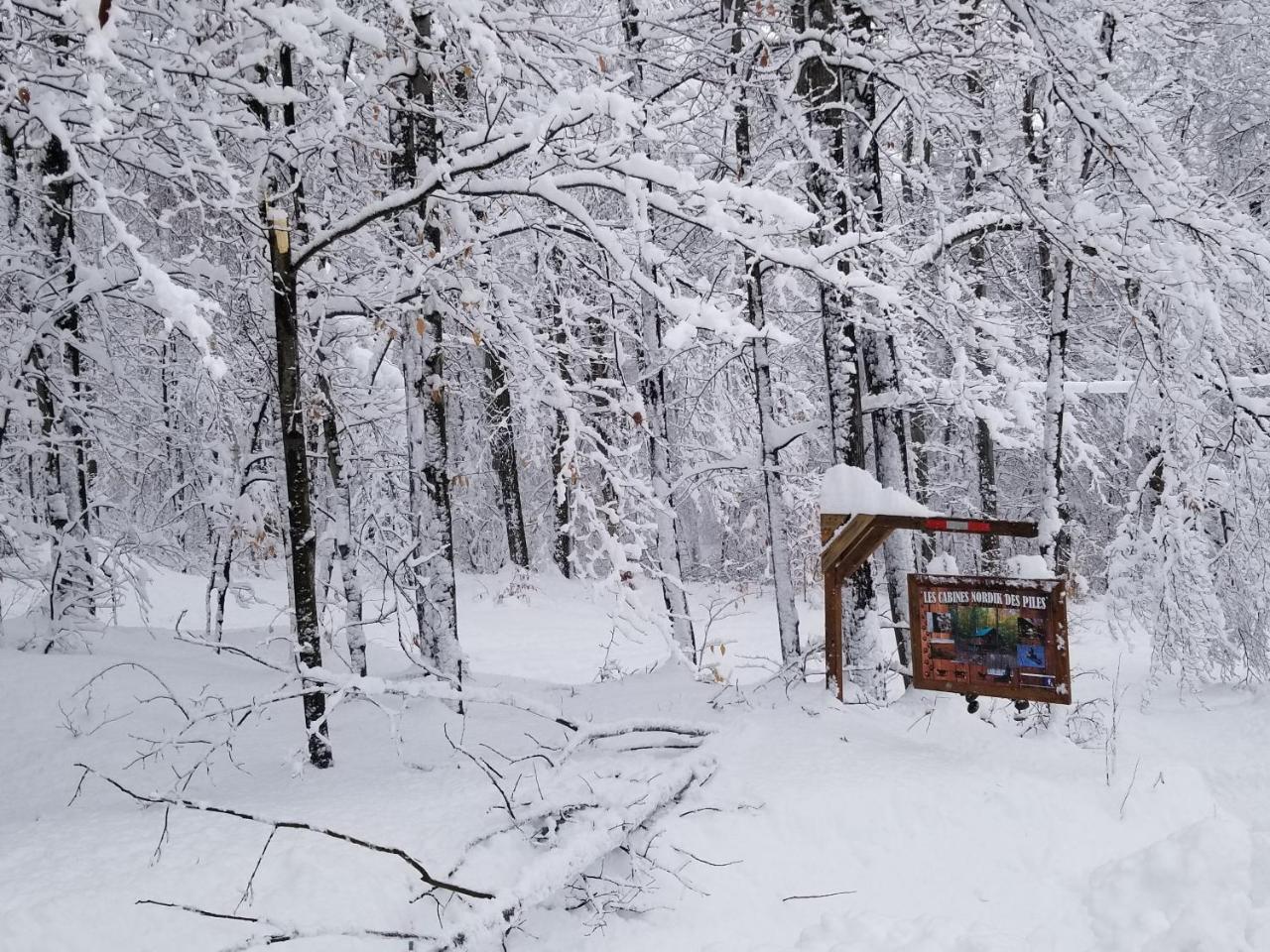 Вилла Les Cabines Nordik Des Piles Сен-Жан-Де-Пиль Экстерьер фото