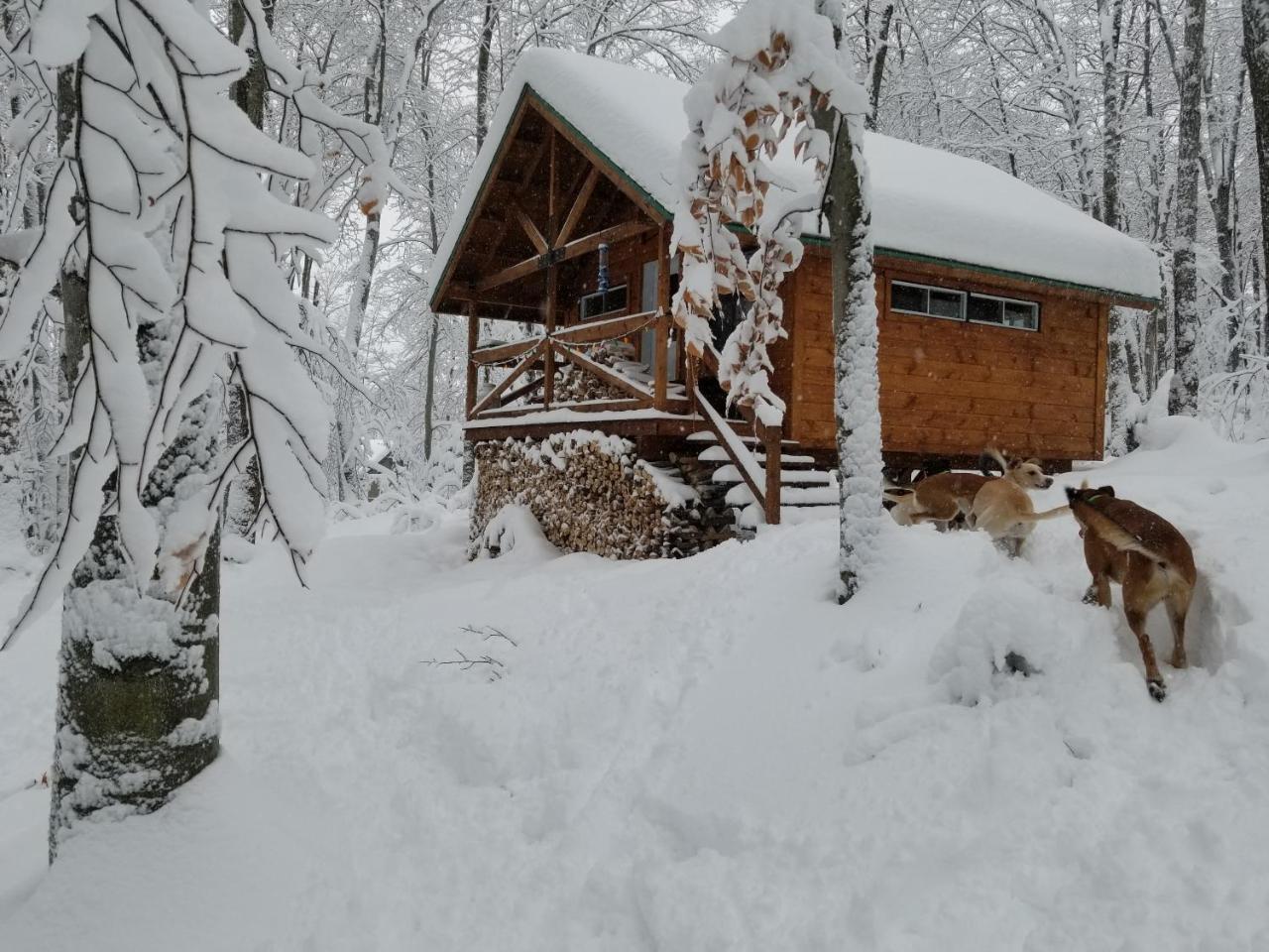 Вилла Les Cabines Nordik Des Piles Сен-Жан-Де-Пиль Экстерьер фото