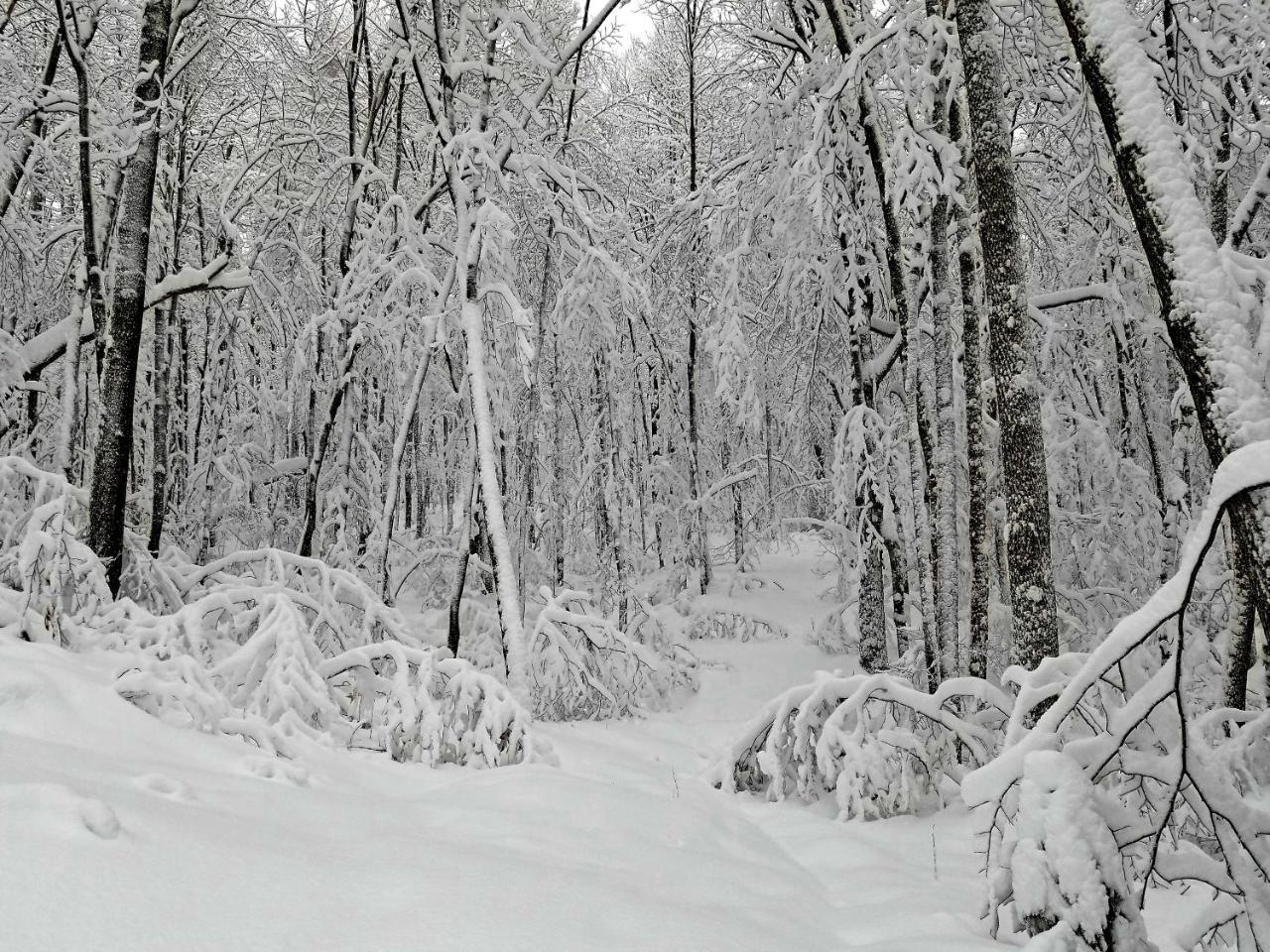 Вилла Les Cabines Nordik Des Piles Сен-Жан-Де-Пиль Экстерьер фото
