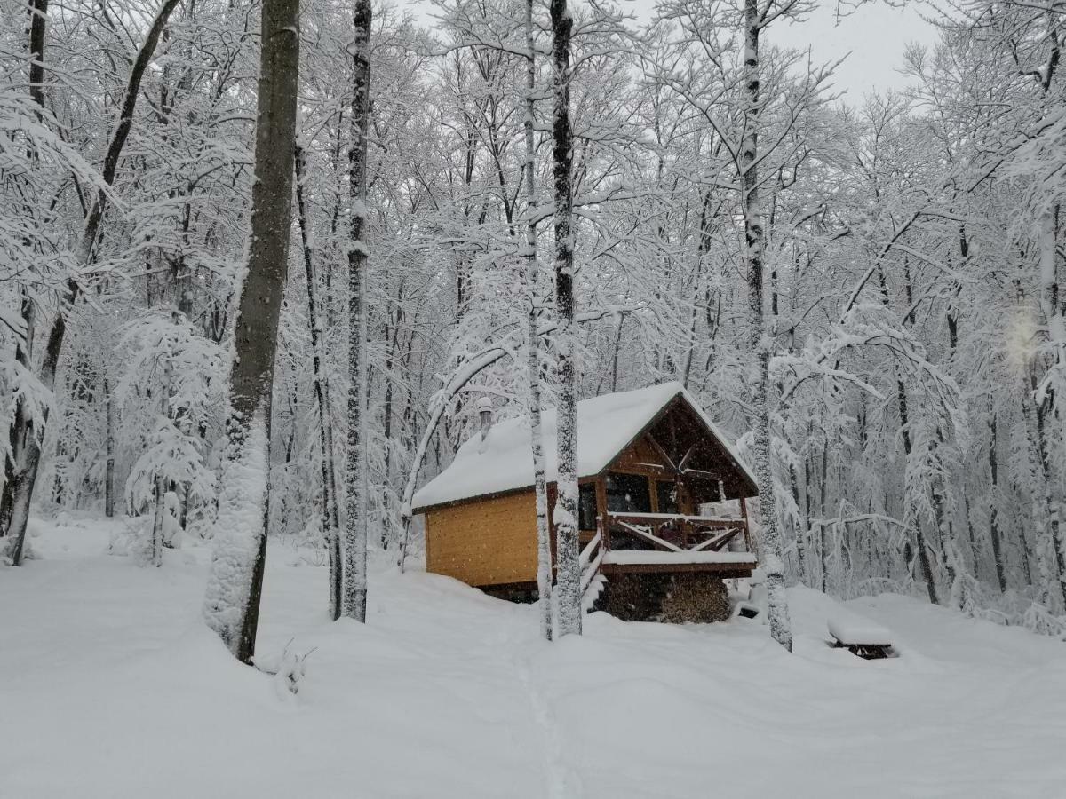Вилла Les Cabines Nordik Des Piles Сен-Жан-Де-Пиль Экстерьер фото