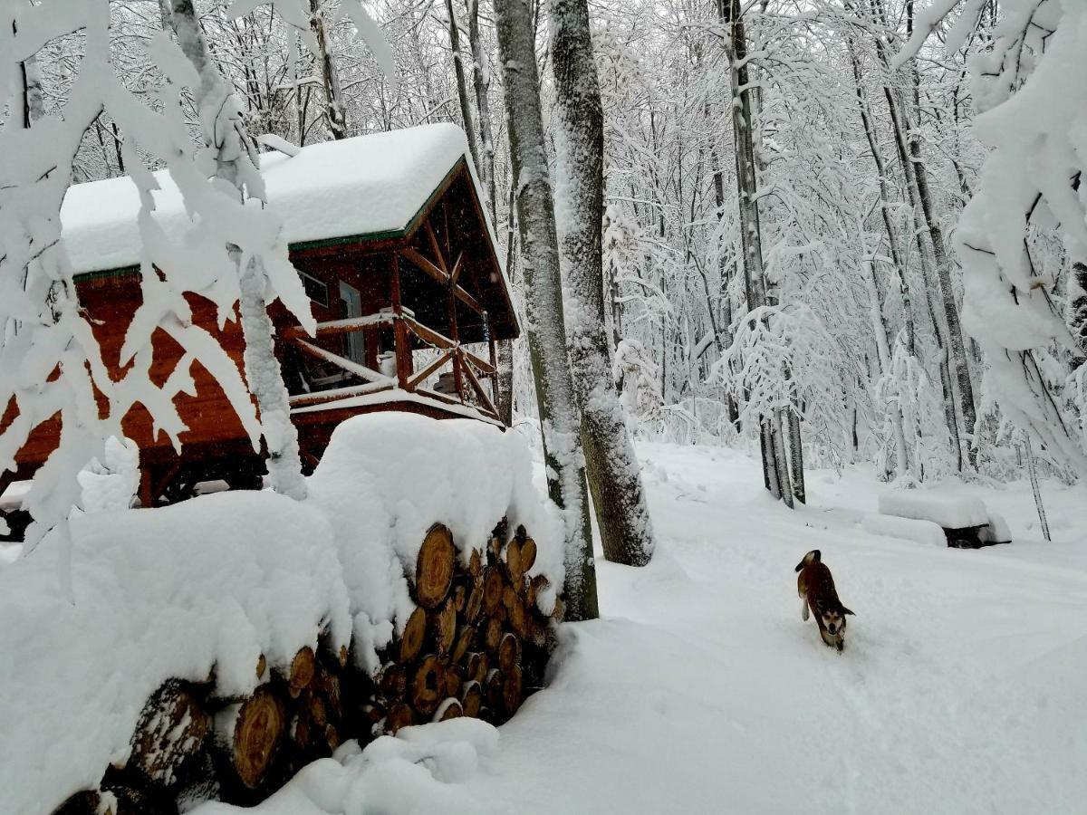 Вилла Les Cabines Nordik Des Piles Сен-Жан-Де-Пиль Экстерьер фото